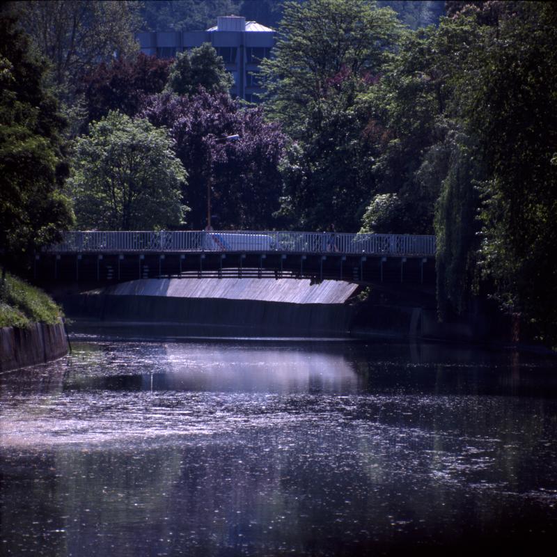 A pic of a bridge with a lot of trees