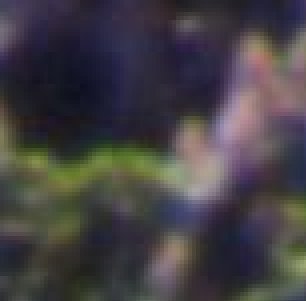 4x enlargement from the previous pic