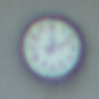Page 4 of lens passport