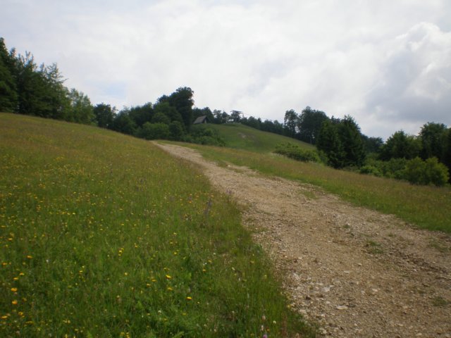 sview.jpg