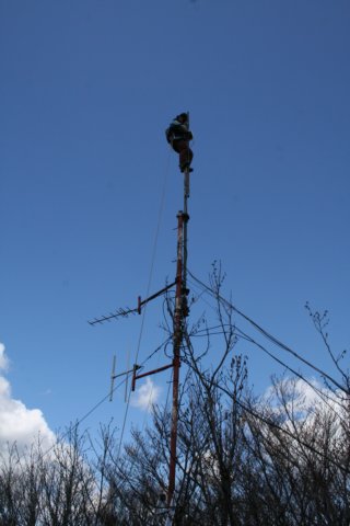 firsttryatmountingthe2121f9ftfor432mhz.jpg