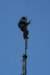 towerwork2_small.jpg