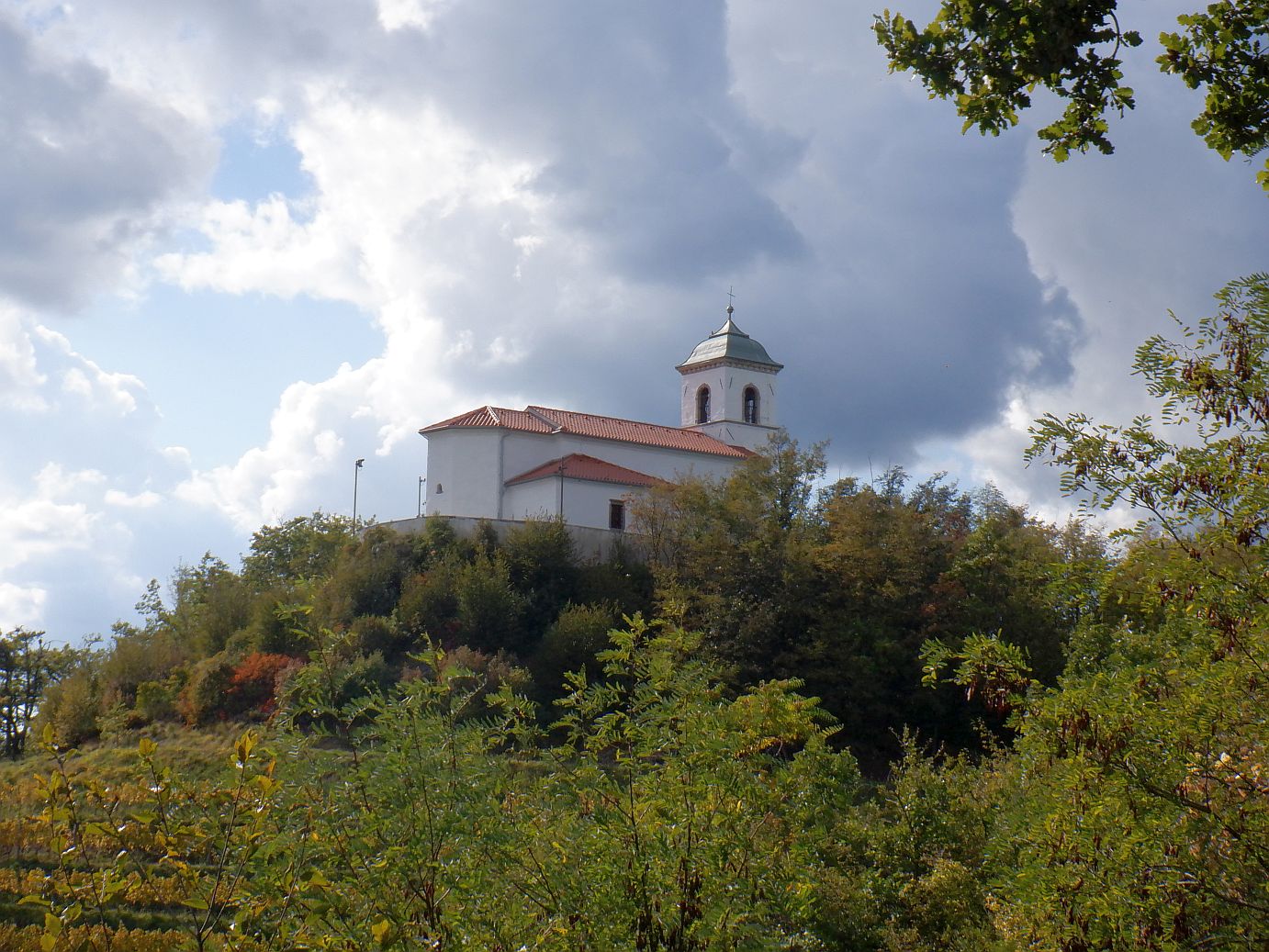 Goče