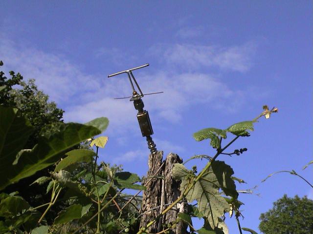 A small antenna among wines